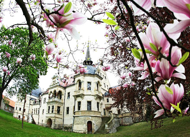 Start 15 - Schloss vom Rosengarten im Frühling