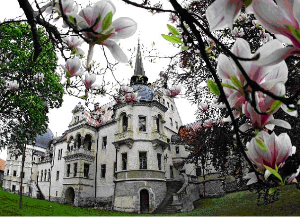 Kreative Frühlingstage & Tag der Parks und Gärten auf Schloss Schönfeld